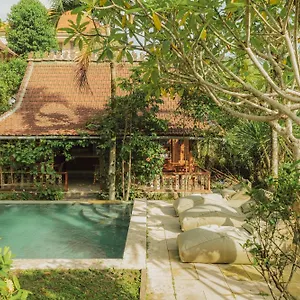 3* Pensión Lumbung