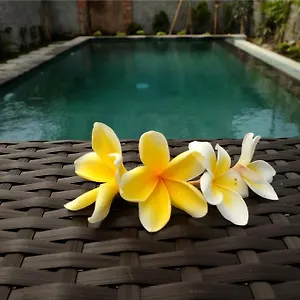 3* Pensión Eka Bali