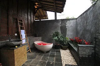 Ubud Jungle Holy Water 3*, Убуд Индонезия